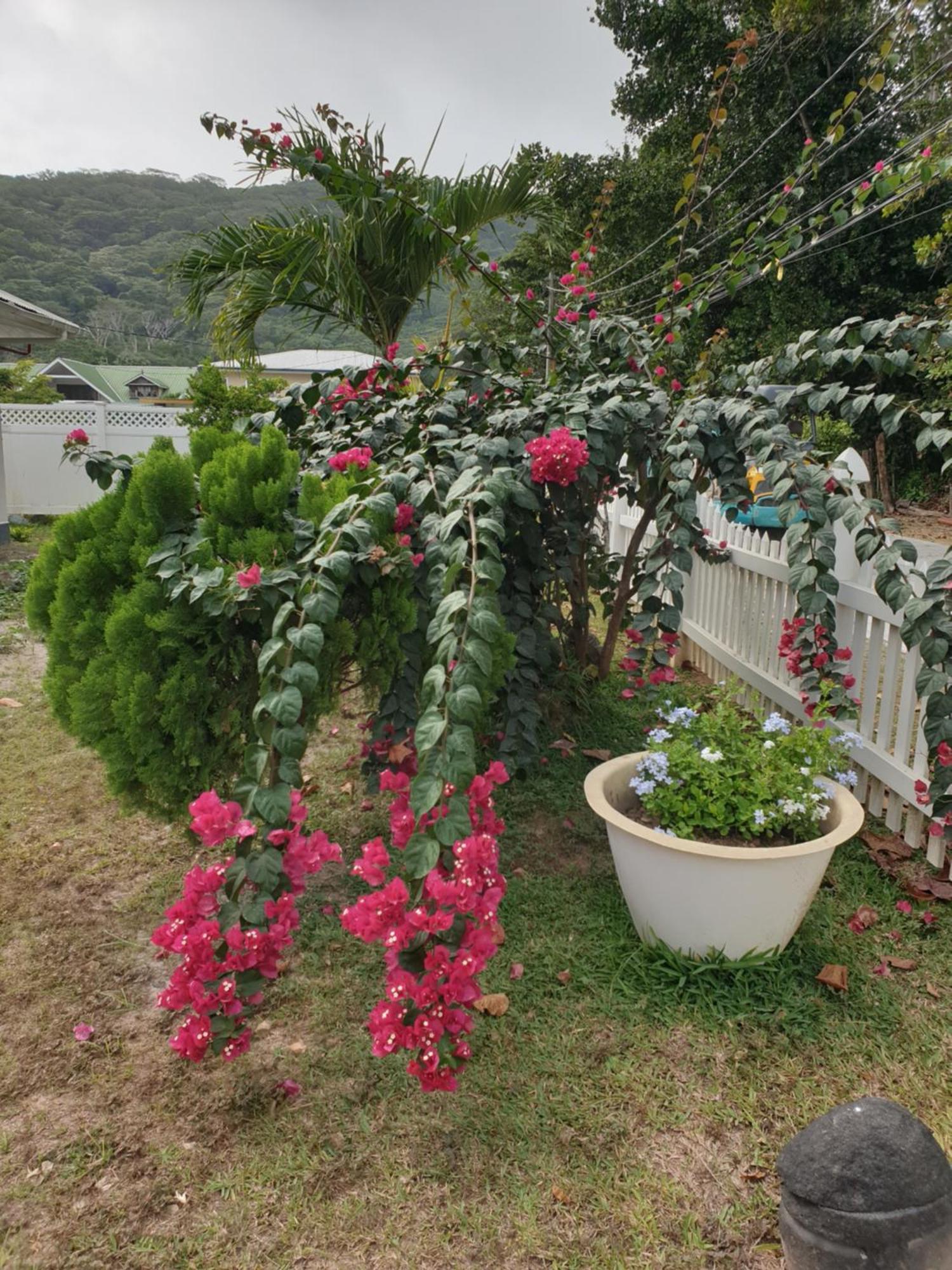 Villa Authentique La Digue Dış mekan fotoğraf