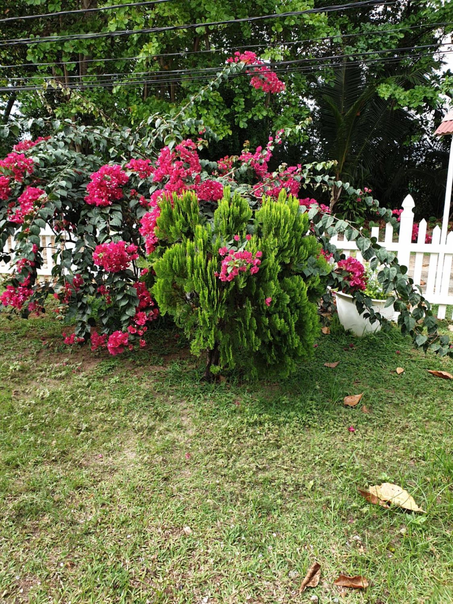 Villa Authentique La Digue Dış mekan fotoğraf